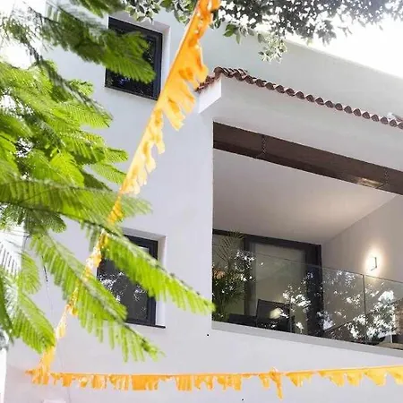 Sunnyland 1º Adelfas *